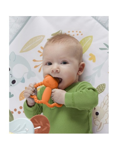 FISHER-PRICE kramtukai - Spalvoti draugai